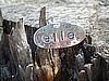 Custom Name Charm